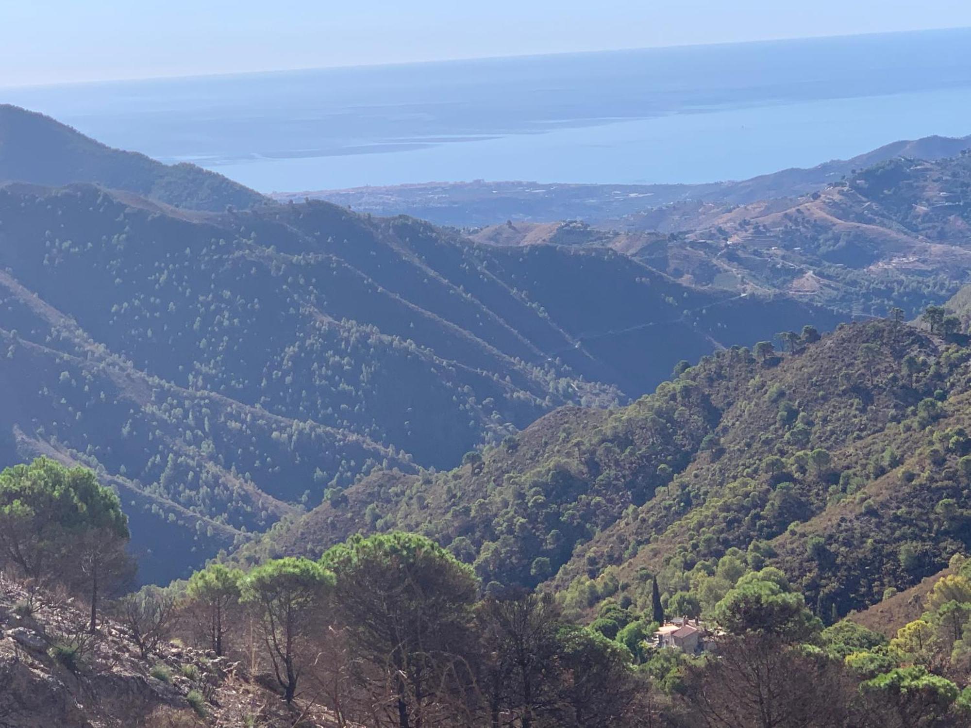 Finca El Almendro Málaga Kültér fotó