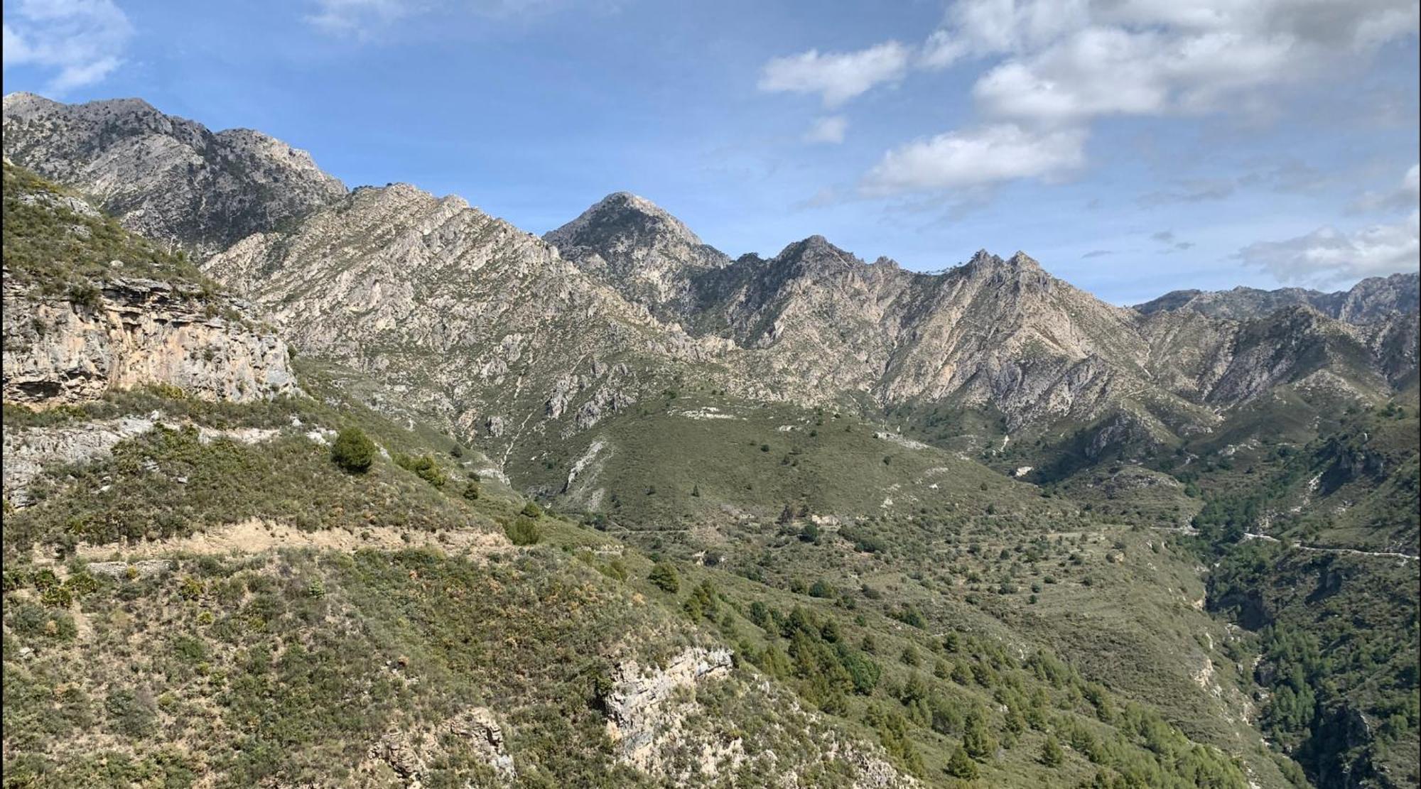 Finca El Almendro Málaga Kültér fotó